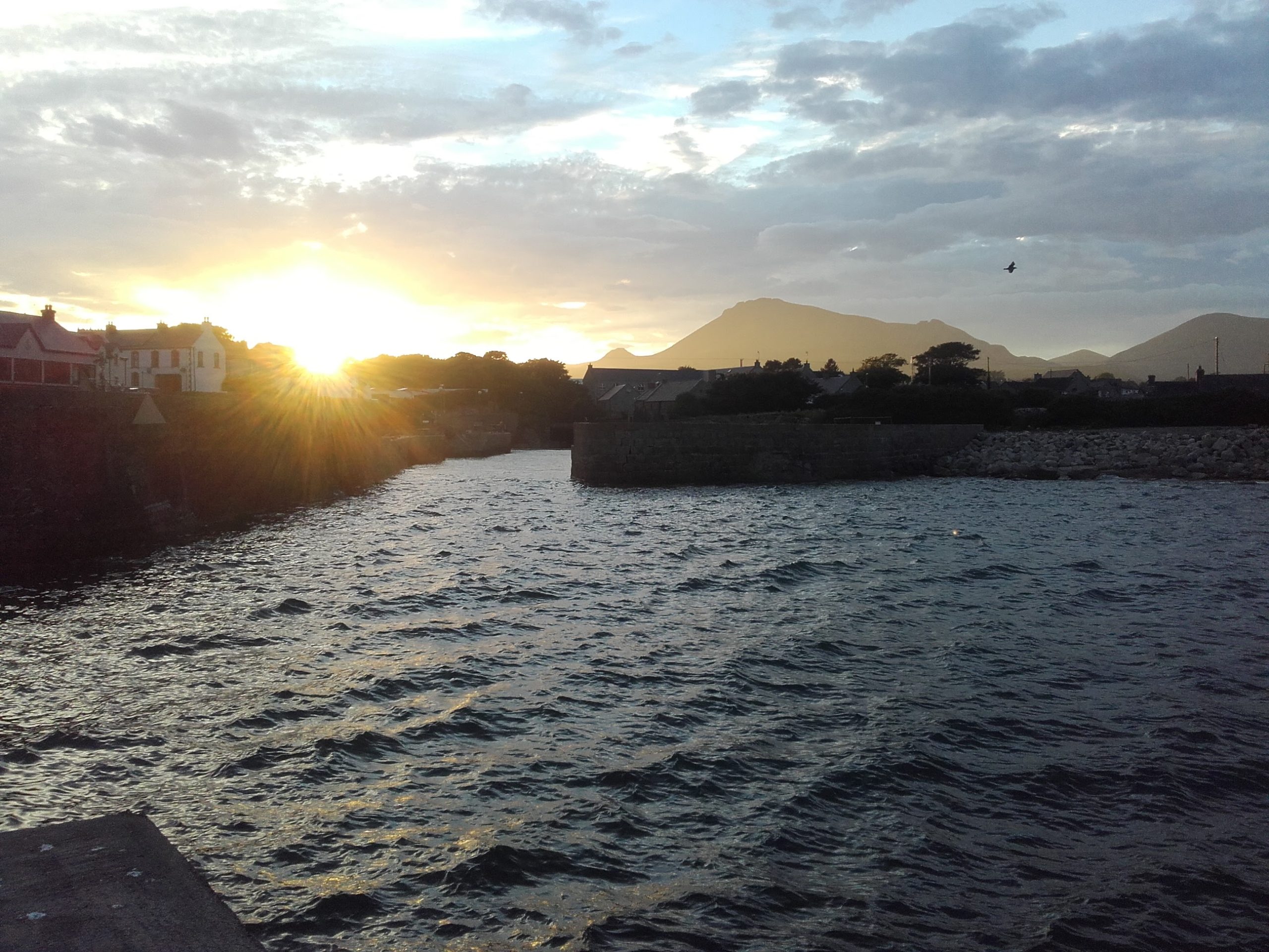 Greenore3